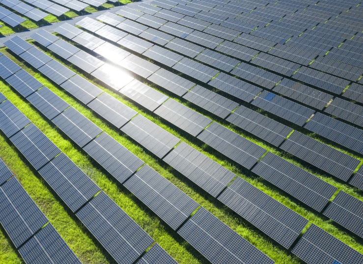 壹定发(中国游)最新官方网站