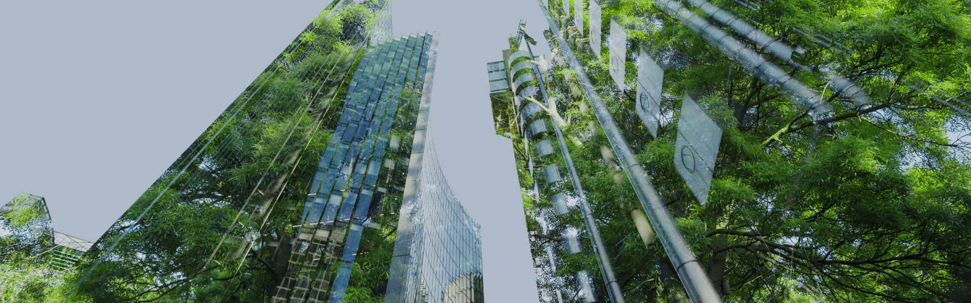 Eventi e notizie di sostenibilità